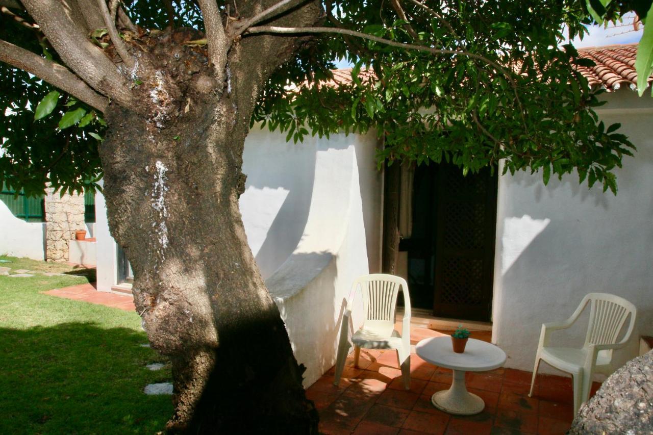 Villa Jacaranda - 550M From The Beach - Free Wifi - By Bedzy Αλμπουφέιρα Εξωτερικό φωτογραφία