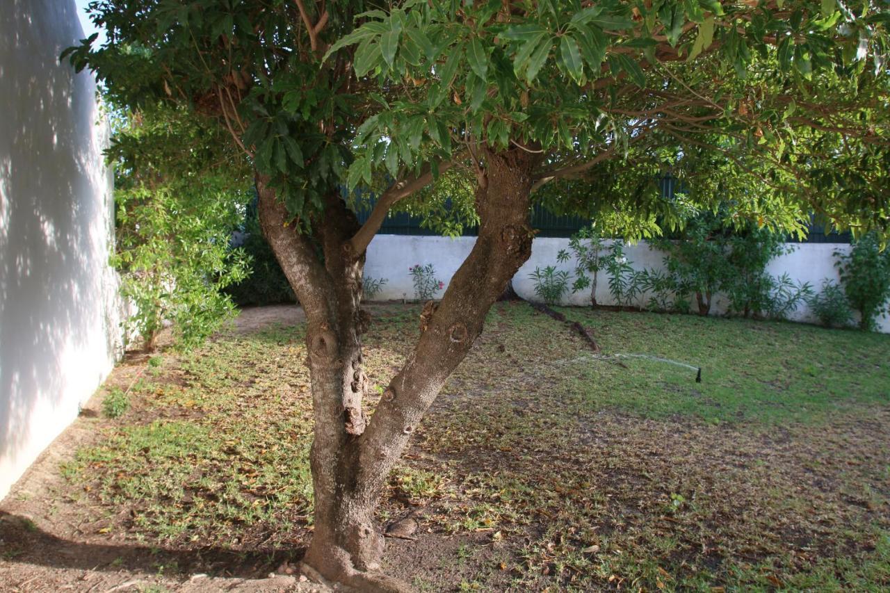 Villa Jacaranda - 550M From The Beach - Free Wifi - By Bedzy Αλμπουφέιρα Εξωτερικό φωτογραφία